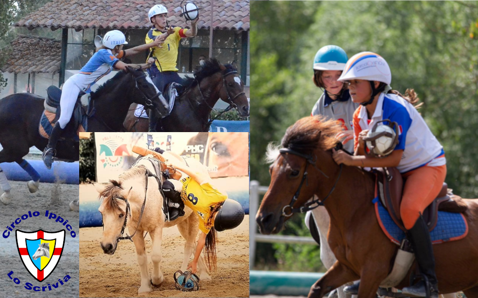 Horseball Misto Categorie